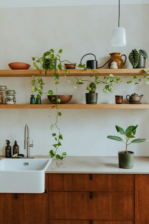 Huis vol groen - Groen van bij ons