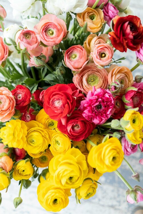 Interieur opfleuren met bloemen - Groen van bij ons