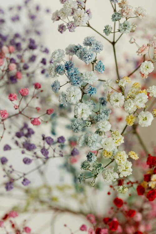 Interieur opfleuren met bloemen - Groen van bij ons