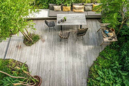 Jungleplanten - Groen van bij ons
