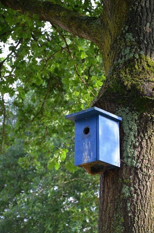 Kindvriendelijke tuin - Groen van bij ons