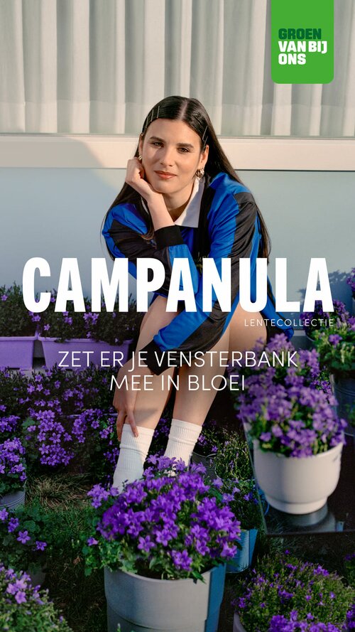 Kleur je vensterbank - Groen van bij ons