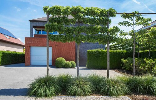 Leibomen in de voortuin - Groen van bij ons