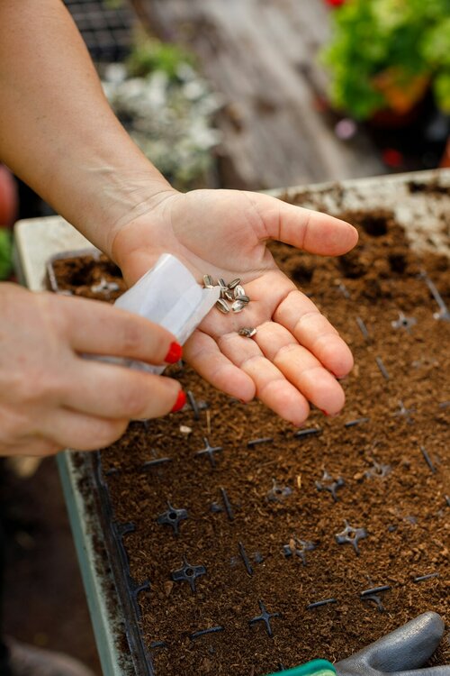 Moestuin zaaikalender - Groen van bij ons