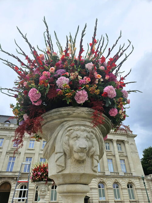 Bloemenversiering met Belgische kleuren aan het Koninklijk Paleis