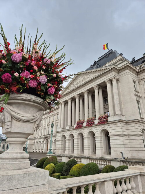 Detail van Belgische bloemen in feestelijke opstelling