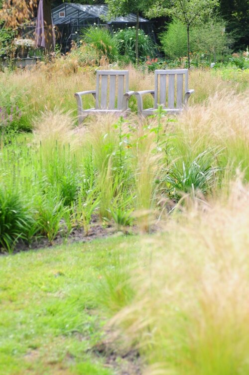 Prairietuin sfeerbeeld