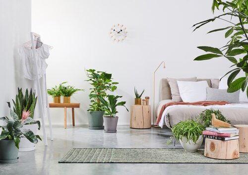 Planten in de slaapkamer