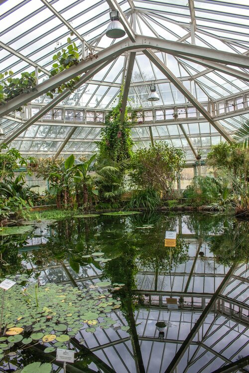 Plantentuin van Meise - Groen van bij ons