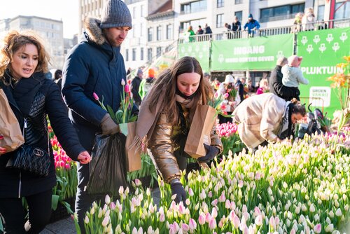 Pluktuin 2025 - Groen van bij ons