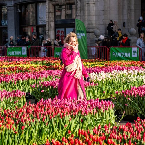 Pluktuin 2025 - Groen van bij ons