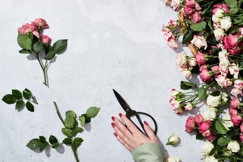 Snijbloemen houdbaarheid verlengen - Groen van bij ons