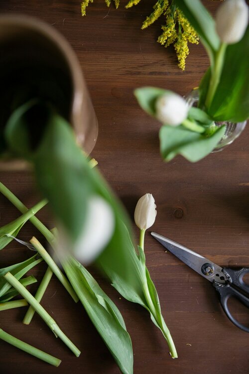 Snijbloemen verzorgen - Groen van bij ons