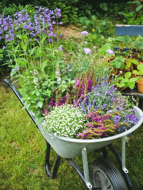 Specifieke tuintypes - Groen van bij ons