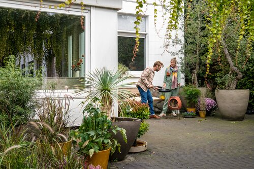 Terras levendig houden in de herfst - Groen van bij ons