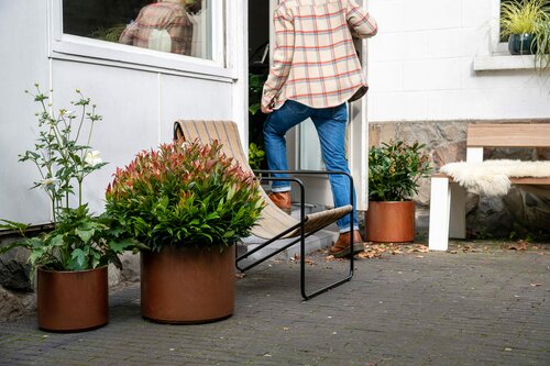 Terras levendig houden in de herfst - Groen van bij ons
