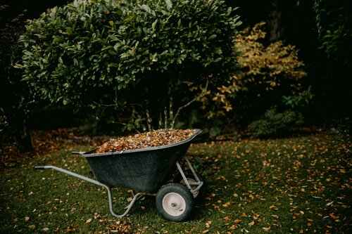 Tuin winterklaar maken - Groen van bij ons