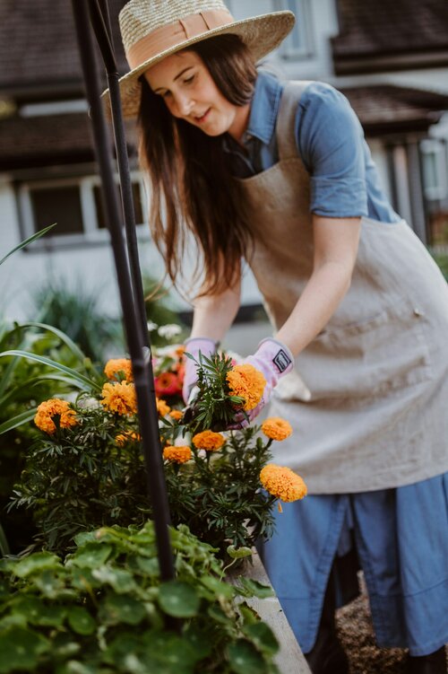 Onderhoud en verzorging voor langdurig plezier - tuinplanten - Groenvanbijons