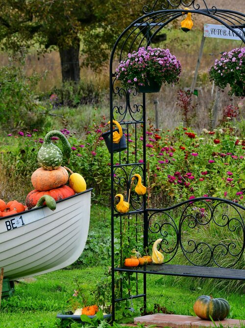 Tuinplanten voor elk seizoen - Groenvanbijons