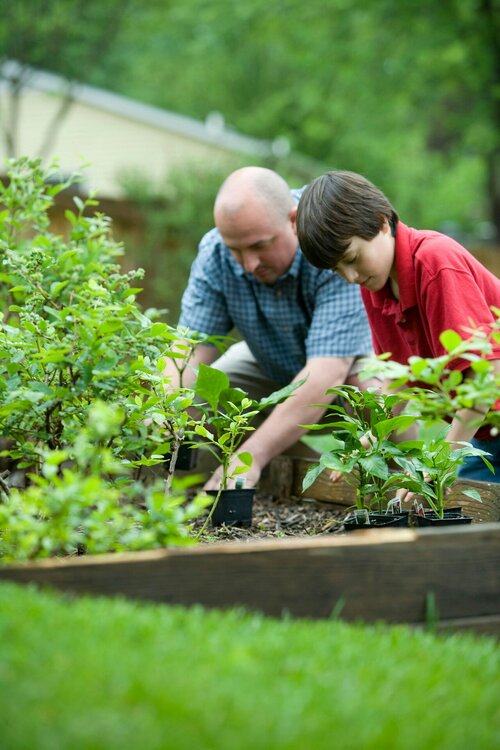 Tuintips - Groen van bij ons