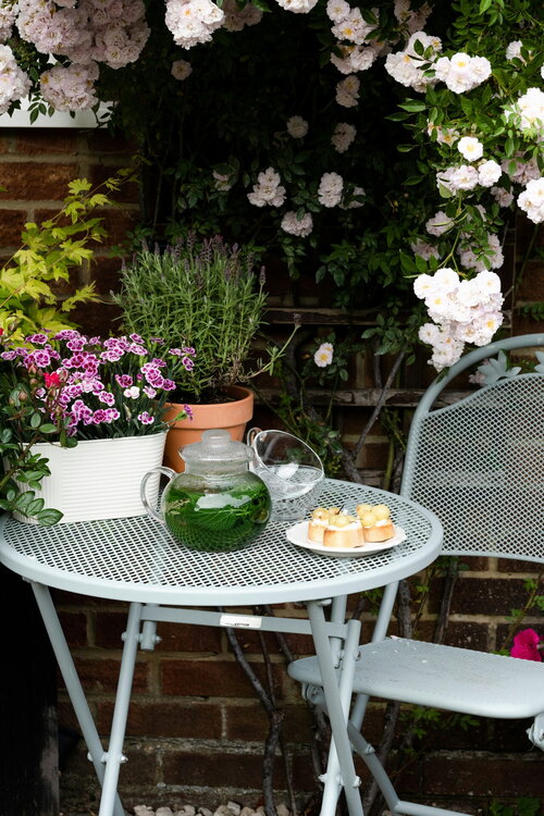 Tafel met planten klaar om intens aan te genieten