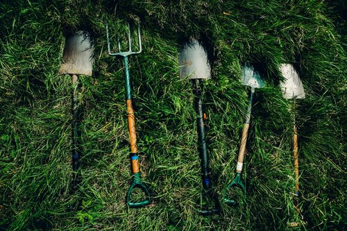 Voorjaarskuur gazon - Groen van bij ons