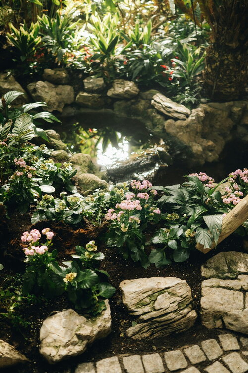 Tuin met waterpartij en groene beplanting