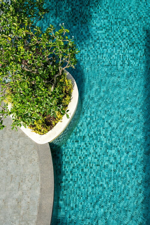 Tuinvijver met natuurlijke beplanting