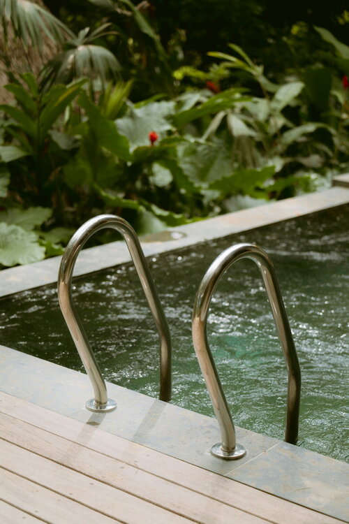 Moderne tuin met vijver en siergrassen