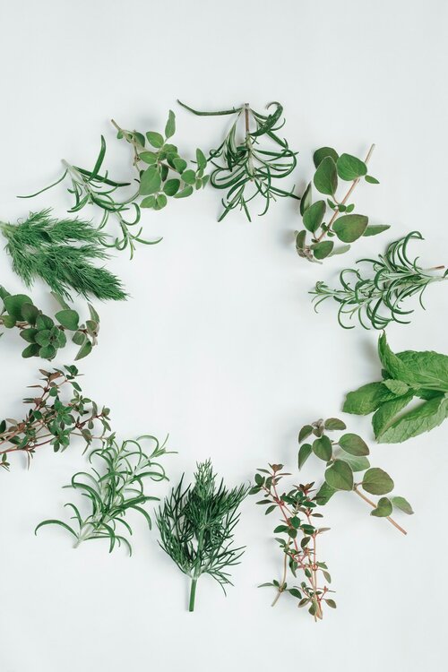Welke planten zijn ideaal voor in de keuken - Groen van bij ons