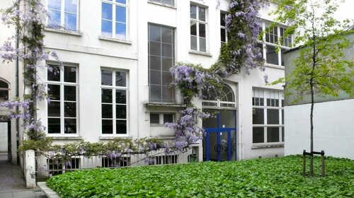 Wisteria of blauwe regen, een prachtige klimplant