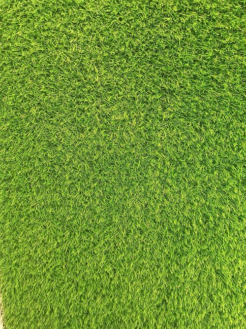 Zaadmengsels voor gazons - Groen van bij ons