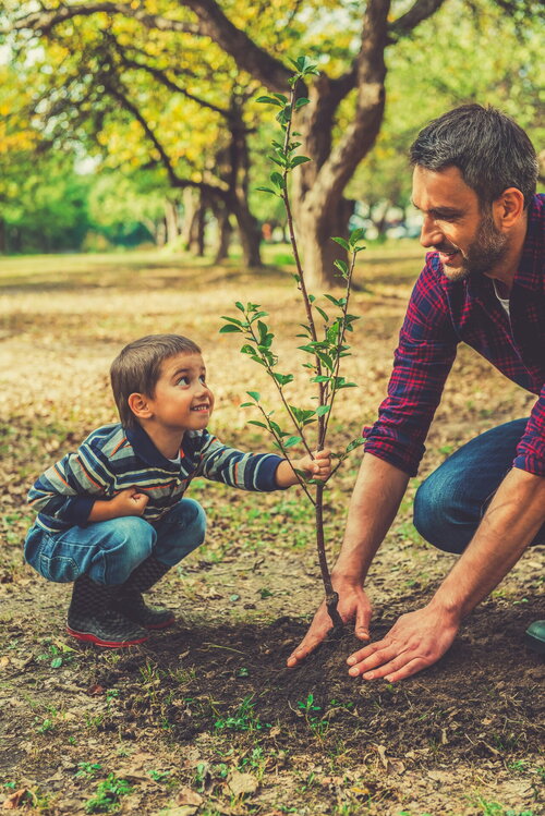 Zelf een boom planten levert mooie herinneringen