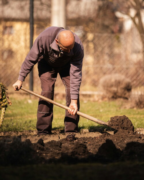 Zelf een boom planten - Groen van bij ons