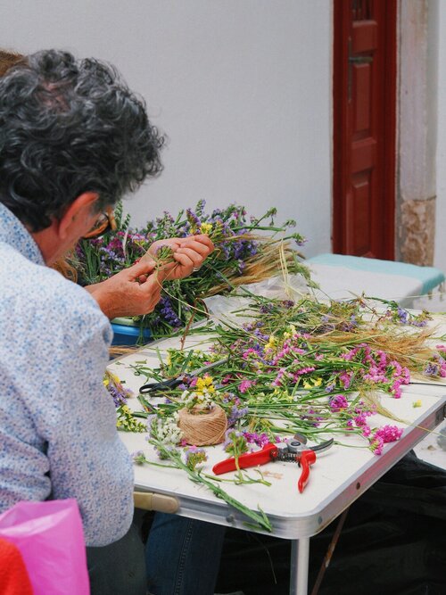 Zomerbloemen kweken - Groen van bij ons