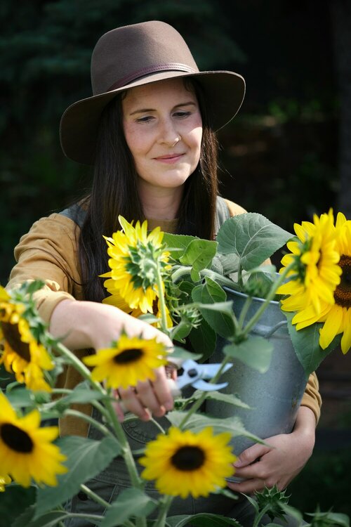 Zonnebloemen - Groen van bij ons