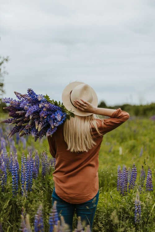 Biologische pluktuinen - Groen van bij ons