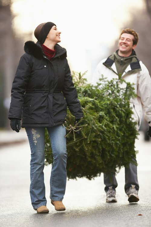 duurzame kerstboom - Groen van bij ons