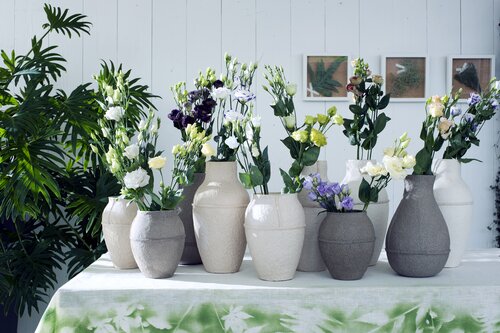 Lisianthus - Groen van bij ons