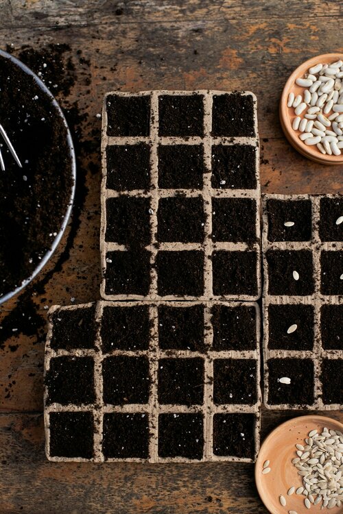 Moestuin - Groen van bij ons