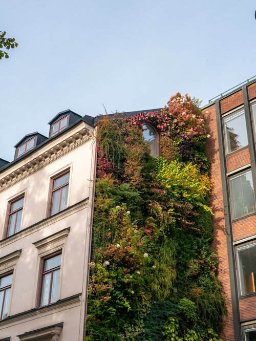 Tegeltuintje inrichten - Groen van bij ons