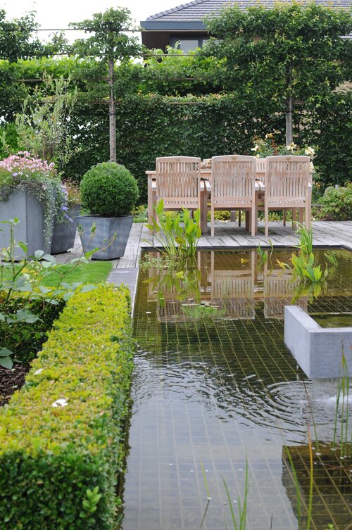 tuin-met-vijver