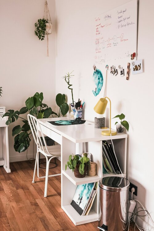 veilige planten voor de kinderkamer - Groen van bij ons