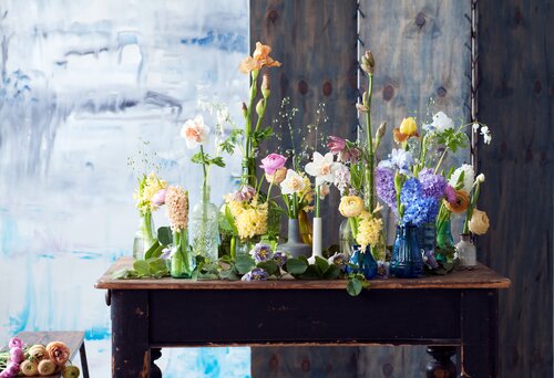 Narcis - Groen van bij ons