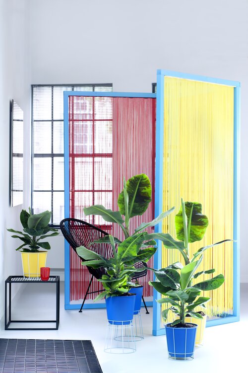 Bananenplant - Groen van bij ons