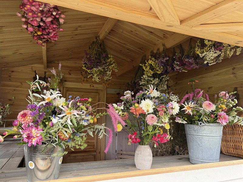 kiosk met voorbeeldboeketten en droogbloemen