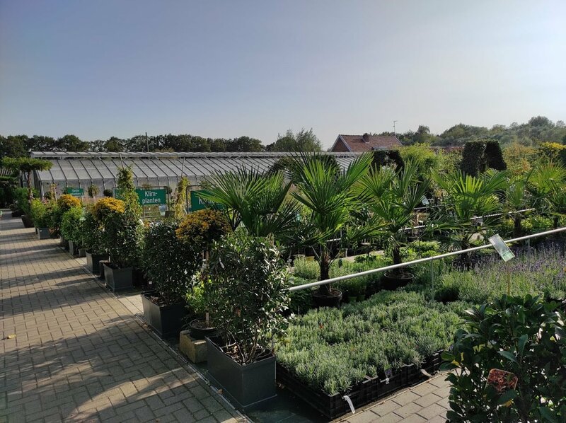 ruim aanbod tuinplanten