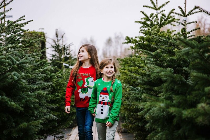 kerstbomen uit eigen kwekerij