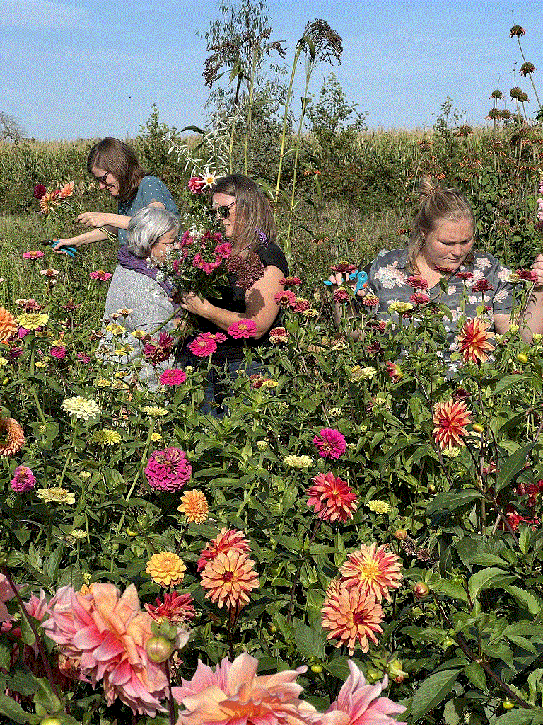 puur genieten op het veld