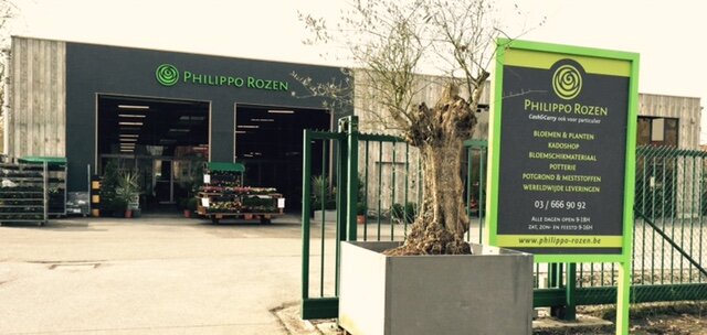 Hoofdkantoor | Bloemenwinkel en tuincentrum in Kalmthout